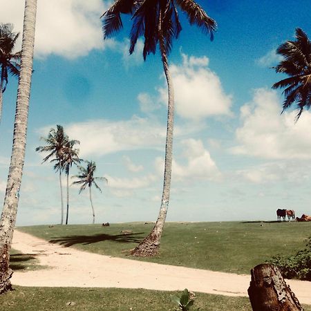 Dorian Guest House And Restaurant Weligama Bagian luar foto
