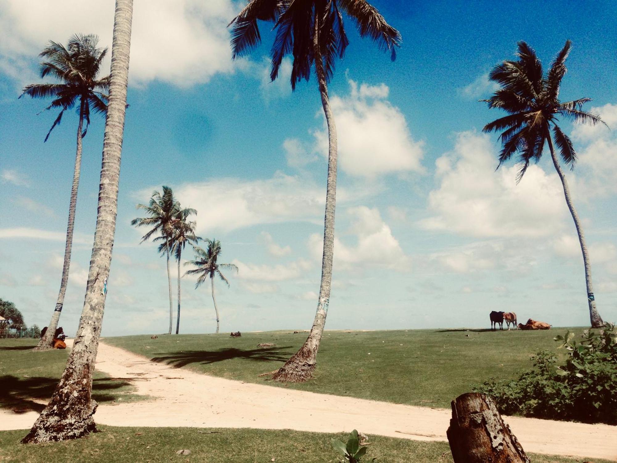 Dorian Guest House And Restaurant Weligama Bagian luar foto